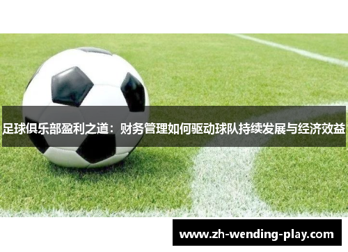 足球俱乐部盈利之道：财务管理如何驱动球队持续发展与经济效益