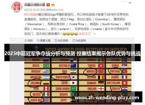2025中超冠军争夺战分析与预测 投票结果揭示各队优势与挑战