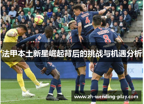 法甲本土新星崛起背后的挑战与机遇分析