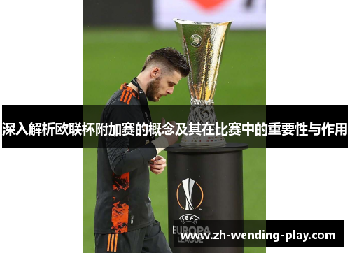 深入解析欧联杯附加赛的概念及其在比赛中的重要性与作用 深入解析欧联杯附加赛的概念及其在比赛中的重要性与作用