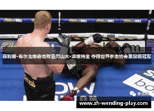 菲利普·希尔戈维奇击败亚历山大·波维特金 夺得世界拳击协会重量级冠军