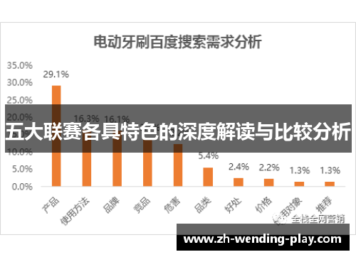 五大联赛各具特色的深度解读与比较分析 五大联赛各具特色的深度解读与比较分析