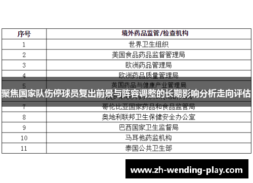 聚焦国家队伤停球员复出前景与阵容调整的长期影响分析走向评估