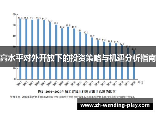 高水平对外开放下的投资策略与机遇分析指南