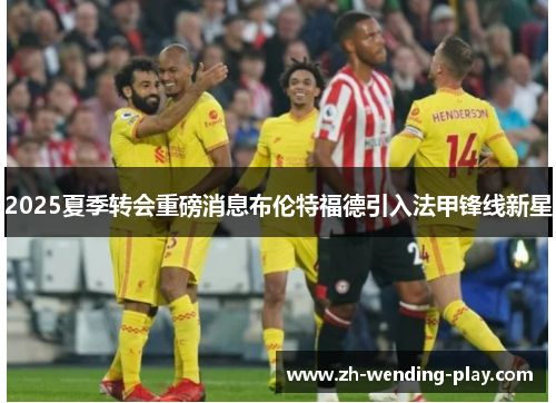 2025夏季转会重磅消息布伦特福德引入法甲锋线新星